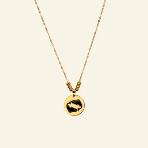 Vrouwen Sterrenbeeld Ketting met Gravure